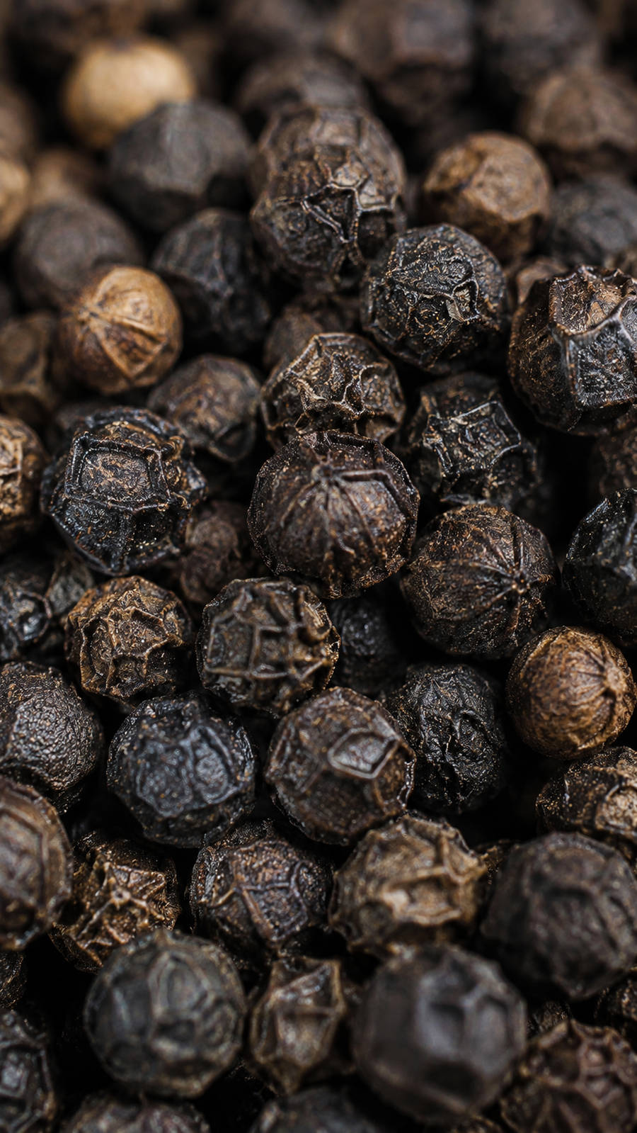  BioPerine® Black Pepper Extract